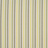 Stripe Woven
