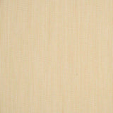 Woven Stripe