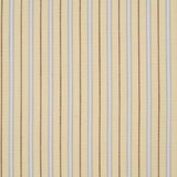 Stripe Woven