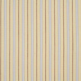 Stripe Woven