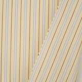 Stripe Woven
