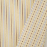 Stripe Woven