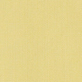 Plain 1/1