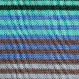 Cotton Jersey